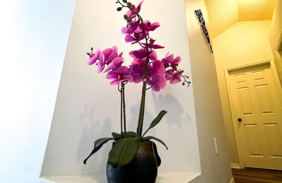 a194ff0f a611 4d06 865d 0296fae7ea8c